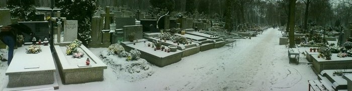 700/DSC00033.JPG